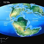 В конце юрского периода (152 млн лет назад) Пангея уже раскололась (начал формироваться Атлантический океан, отмеченный стрелкой), но еще существовал суперконтинент Гондвана, впоследствии расколовшийся на Африку, Индию, Австралию, Антарктиду и Южную Америку