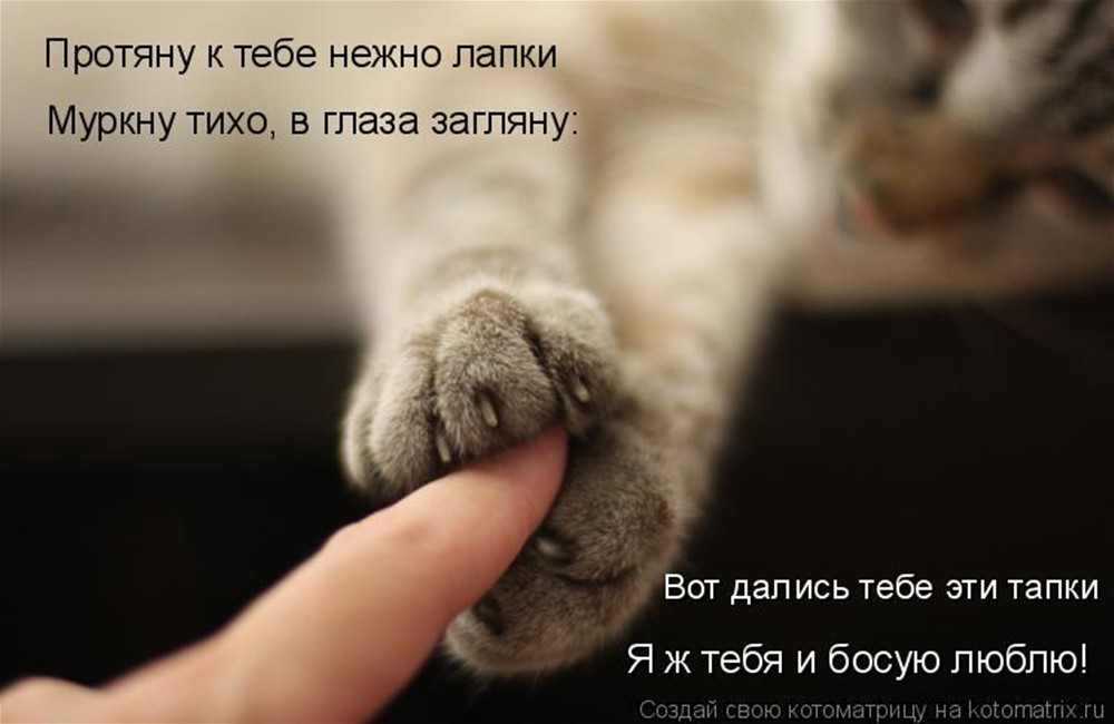 http://lemuriya.ru/wp-content/uploads/2012/11/ty-pridesch.jpg